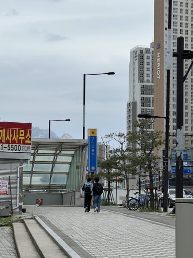 미스터꼬끼오 이미지