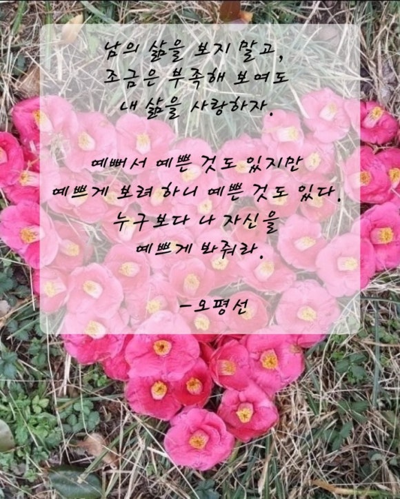 나를예쁘게 이미지