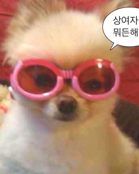 더타워하우스 이미지