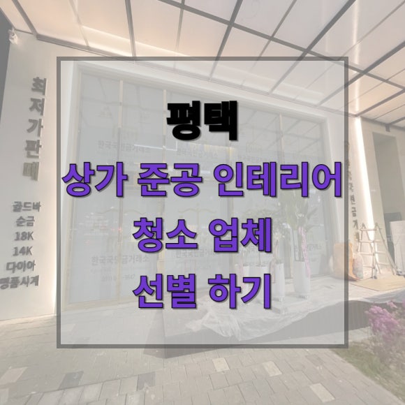투명한청년들 이미지
