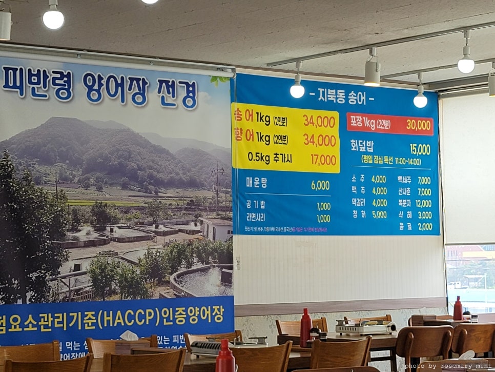 지북동송어 이미지