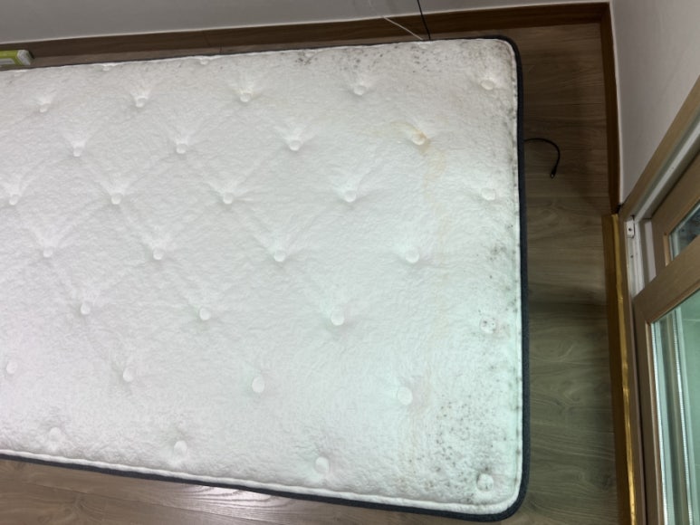 침대토피아대전 이미지