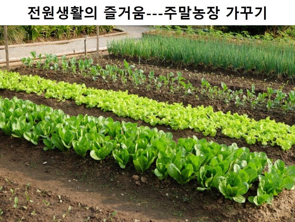 포천솔라에너지 이미지