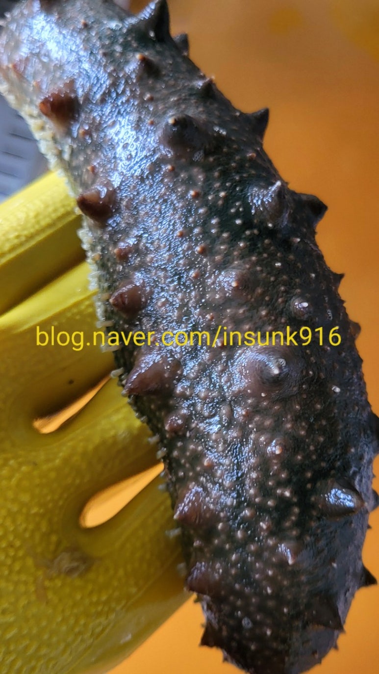 미포영어조합법인 이미지