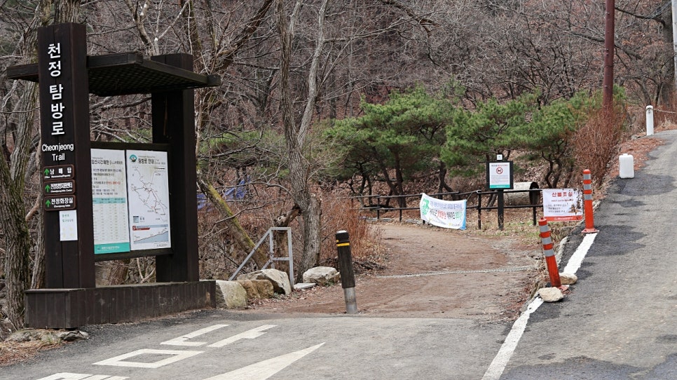 스테이포레스트 이미지