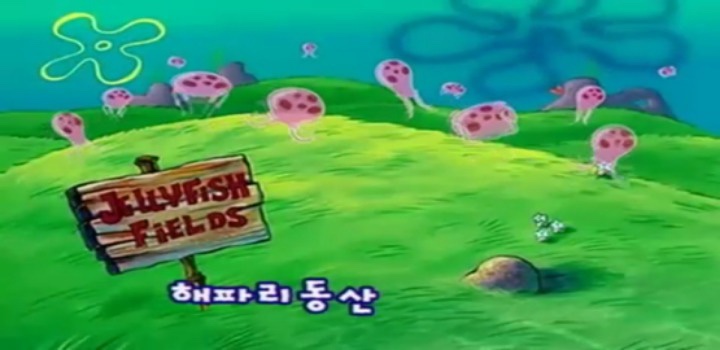 자유트래블 이미지