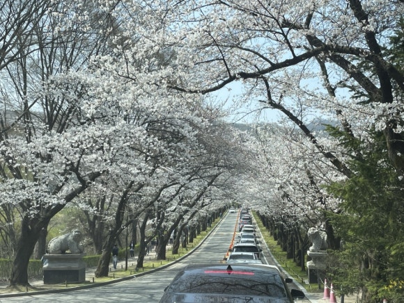 용인오디오 이미지