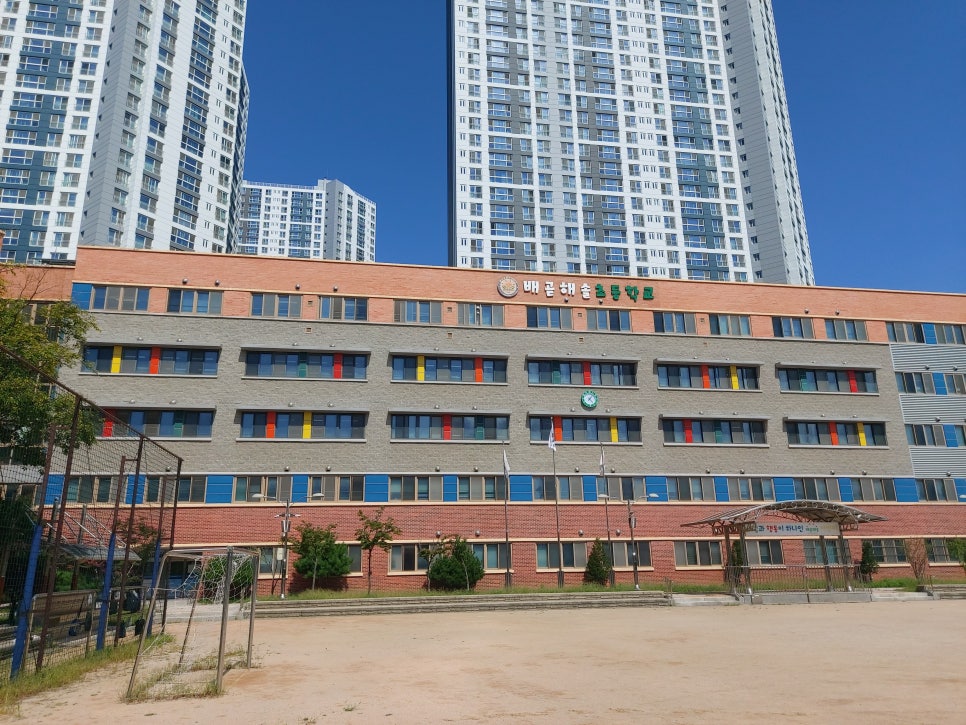 배곧해솔초등학교 이미지