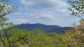 어비산 정상(829m) 이미지