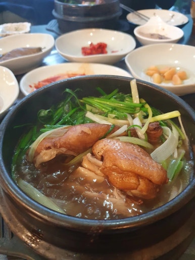 자연약초 이미지