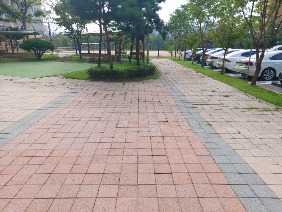 배곧해솔초등학교 이미지