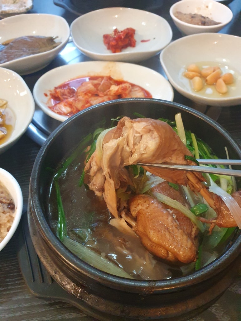 자연약초 이미지