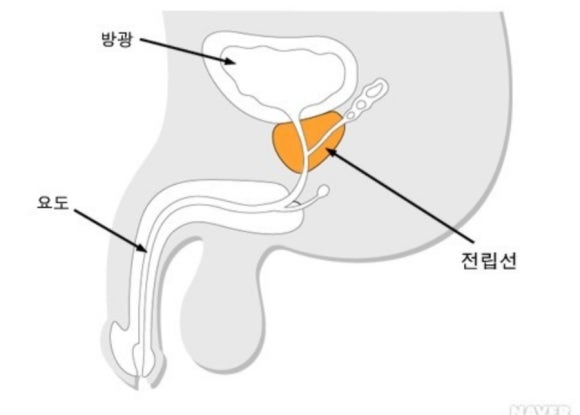 해우비뇨의학과 이미지