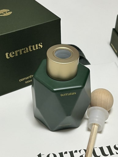 볼라투스 이미지