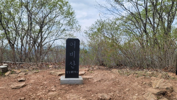 어비산 정상(829m) 이미지