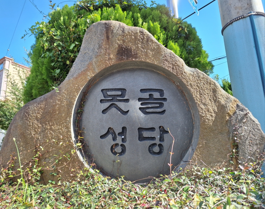 쁠레나 이미지