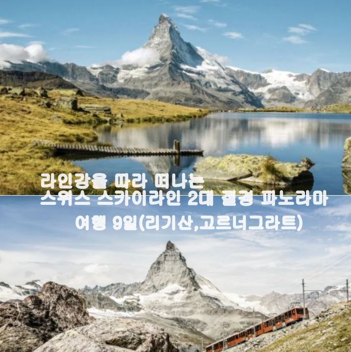 스카이라인투어 이미지