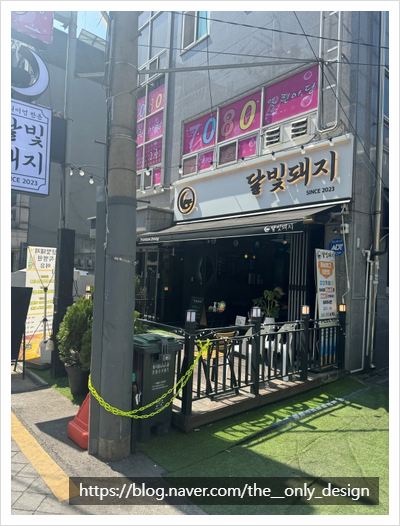 달빛돼지 이미지
