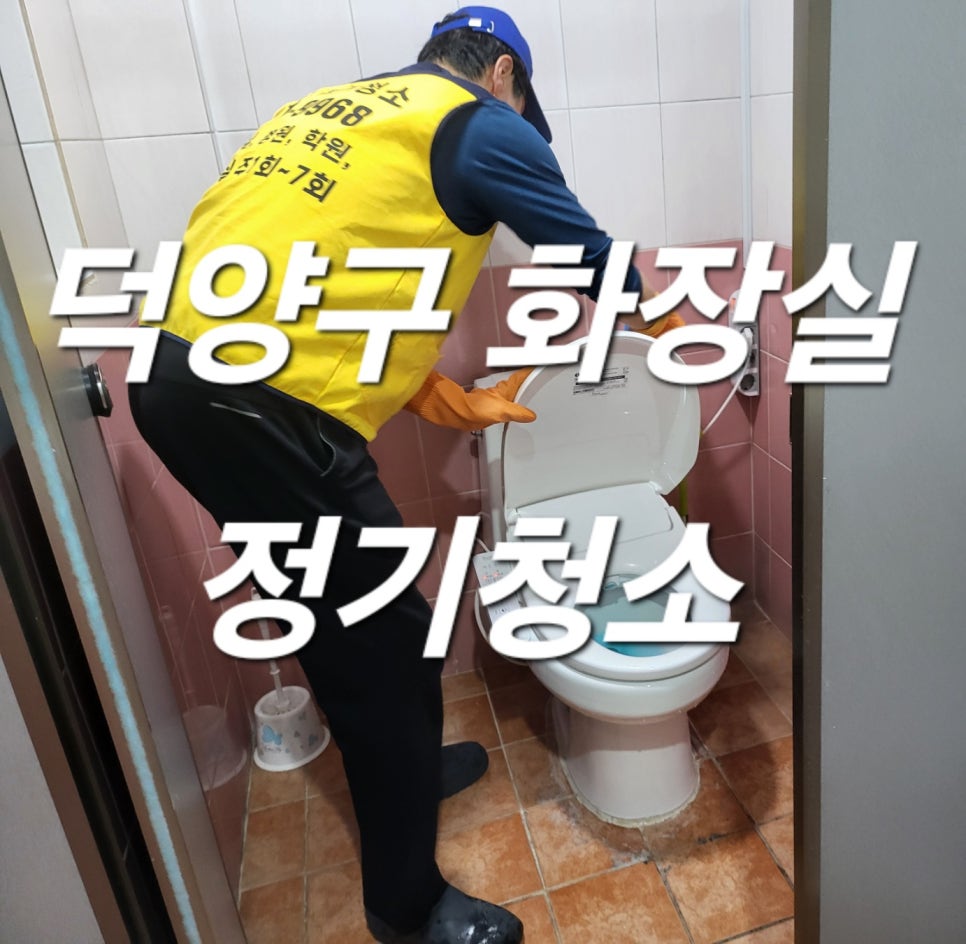 돌핀크린 이미지