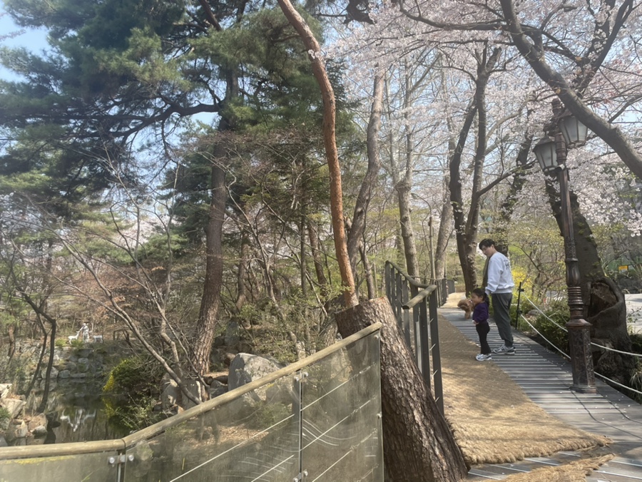 카페24ING 이미지