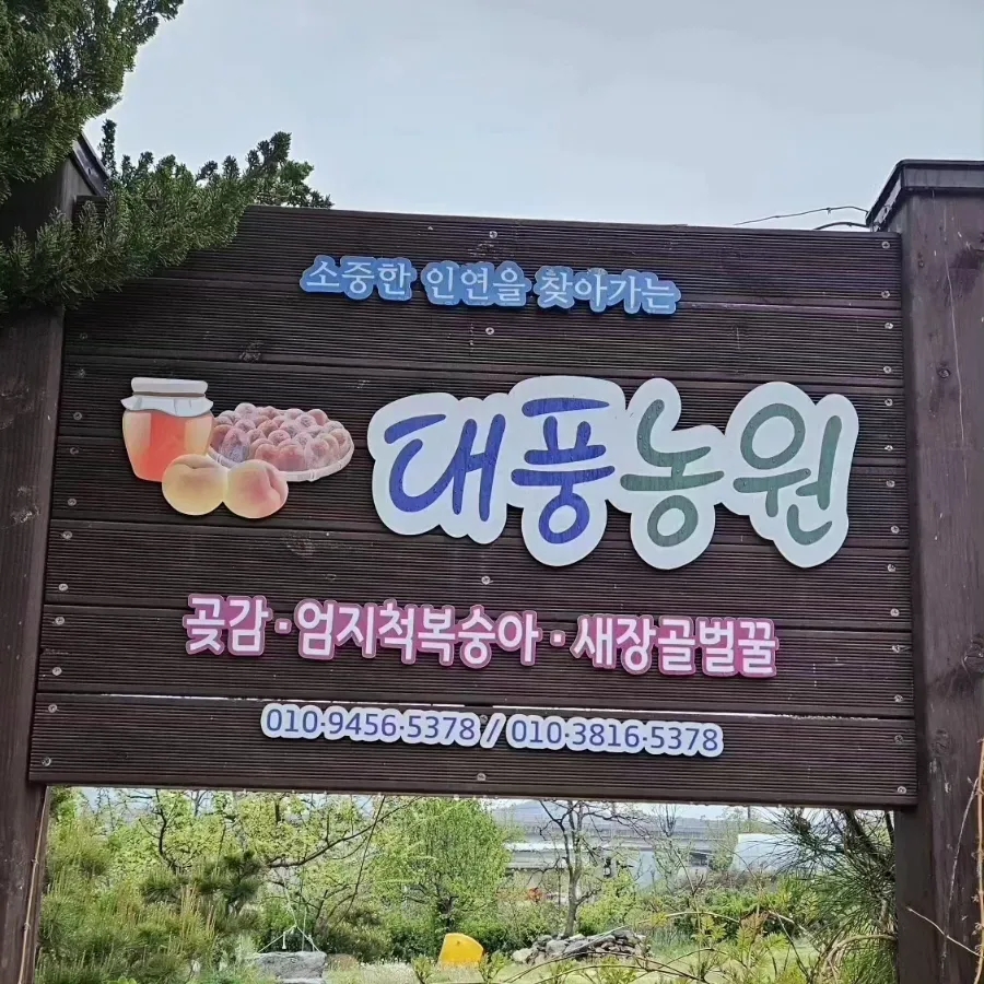 대풍농원 이미지