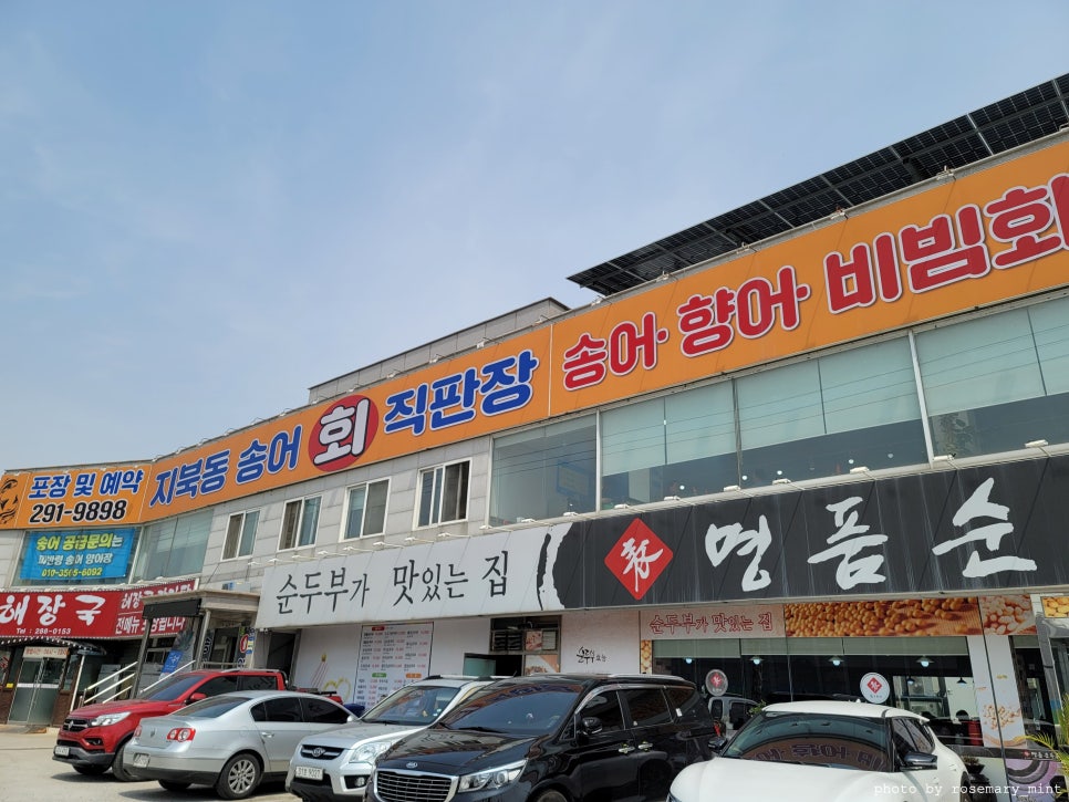지북동송어 이미지
