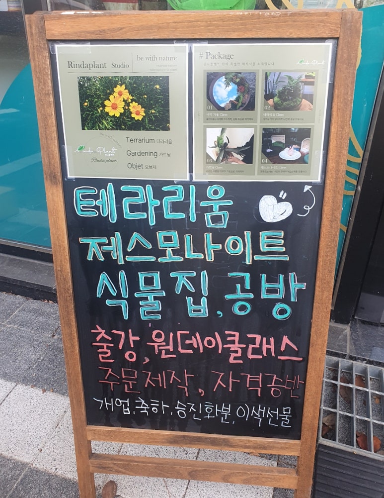 린다플랜트 이미지