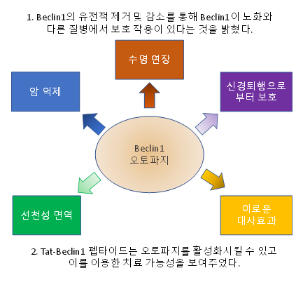 바디톡 이미지