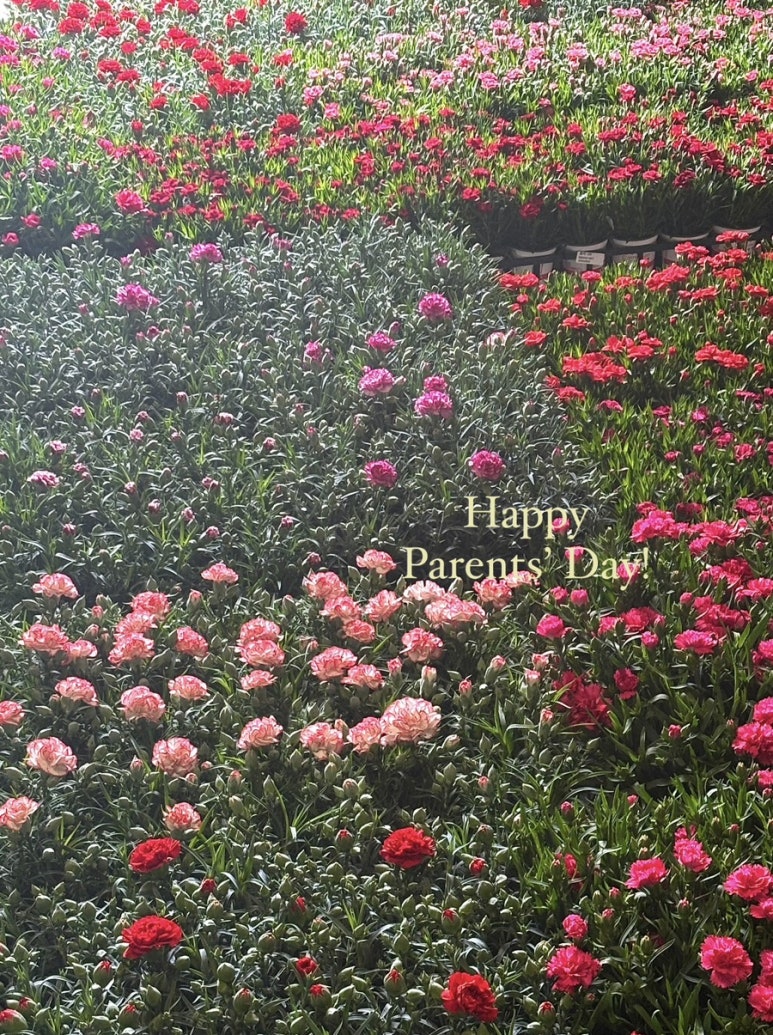 꽃바람화원 이미지