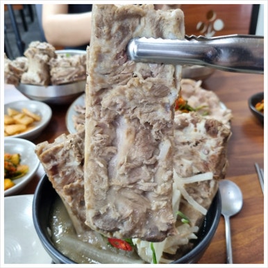 용두주 이미지