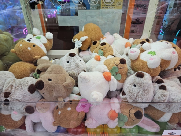 참새노래연습장 이미지