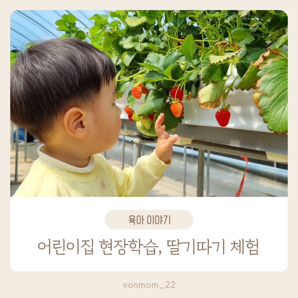 오삼~팜 이미지