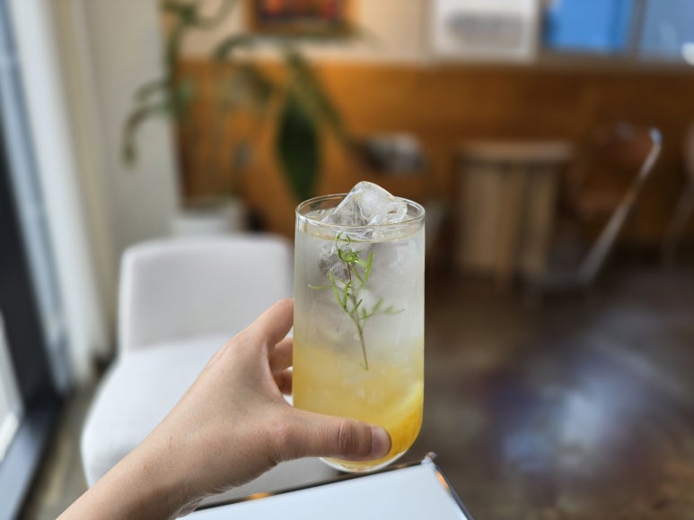 도브로(dobro) 이미지