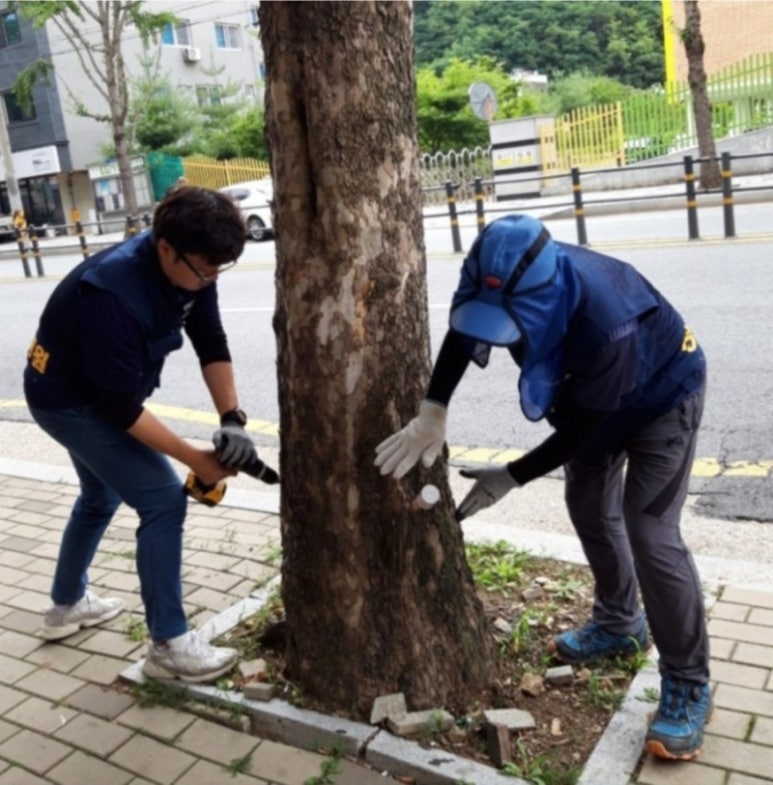 대구나무병원 이미지