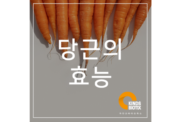 (주)카인즈바이오틱스 이미지