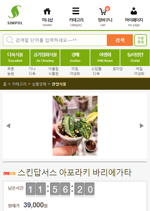 묘한정원 이미지