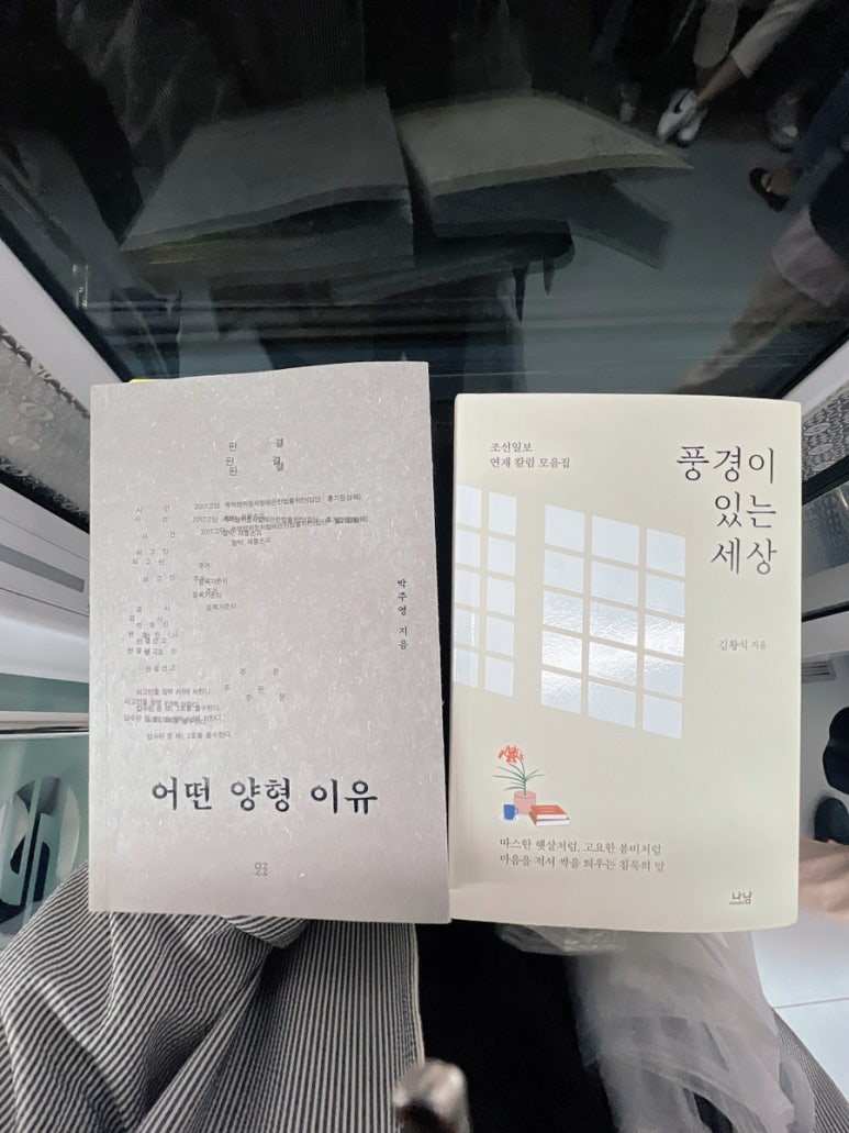 양형세상 이미지