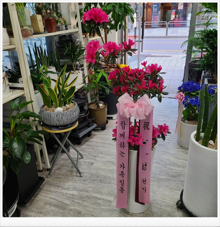 마곡꽃광장 이미지