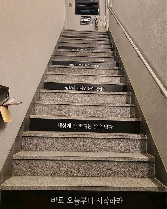 제로키니 이미지