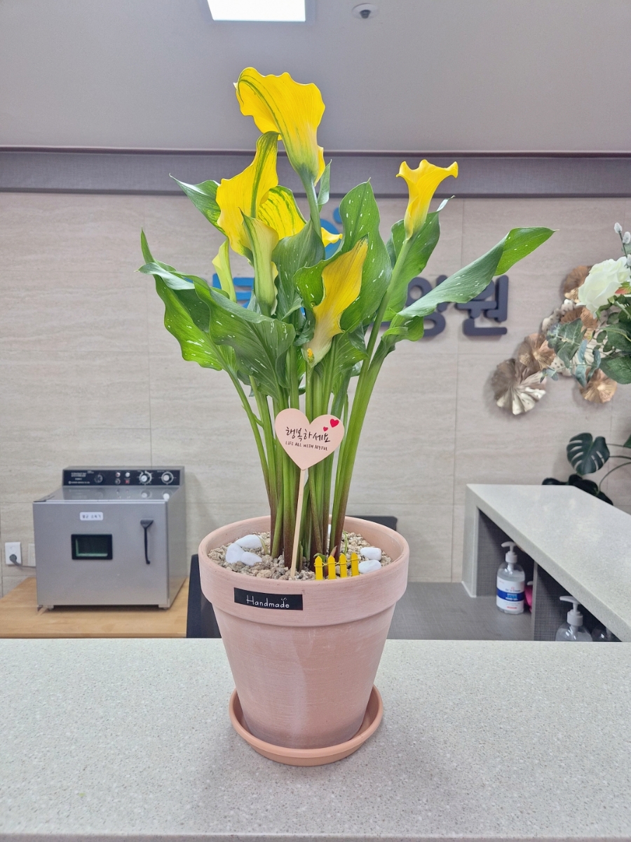 미카엘요양원 이미지