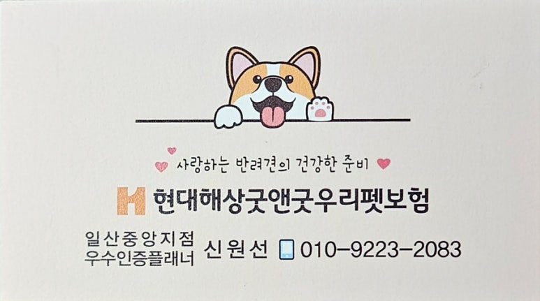 여기펫 이미지
