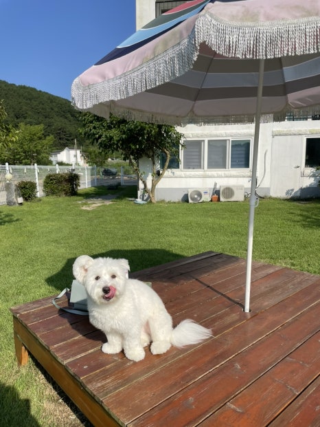 글램펜션 이미지