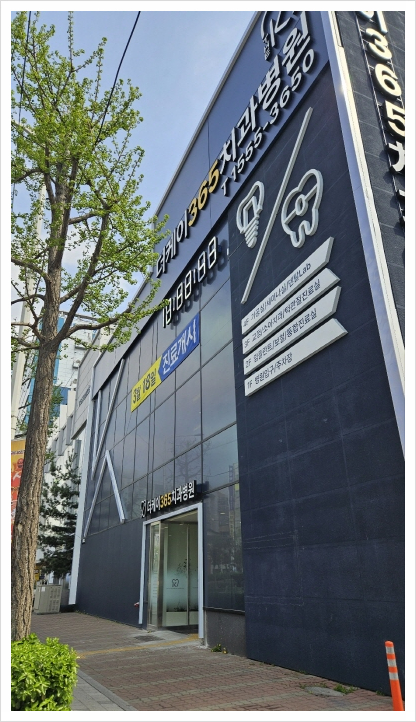365온가족치과 이미지