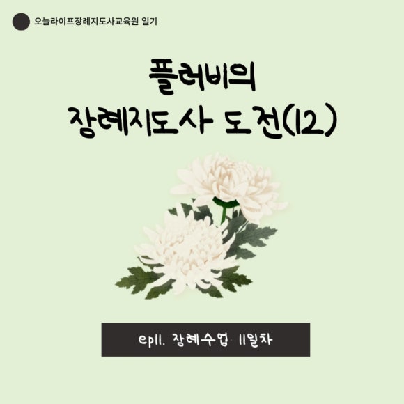 대한장례지도사 교육원 이미지