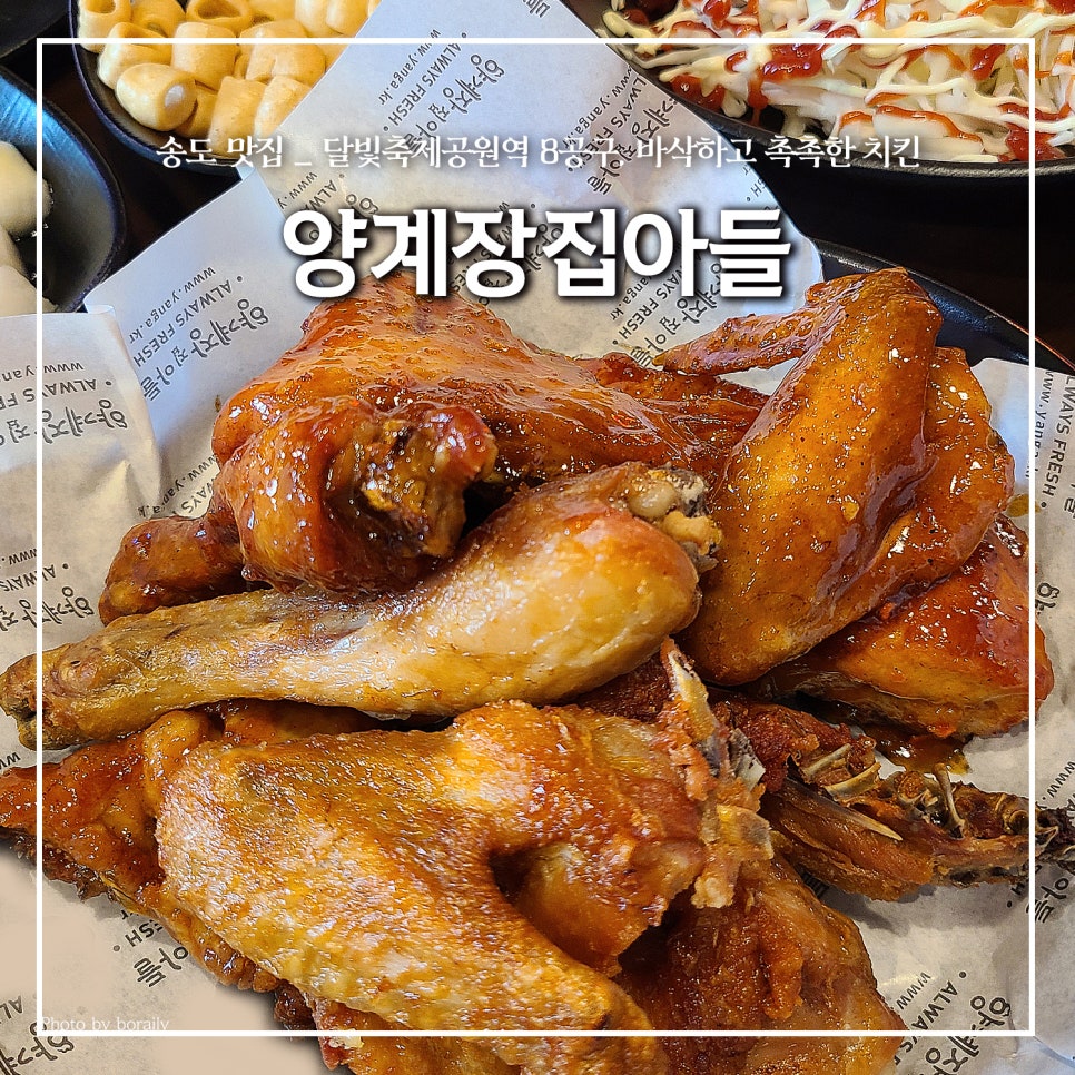 양계장집아들송도달빛축제공원역점 이미지