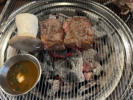 식껍서초 이미지