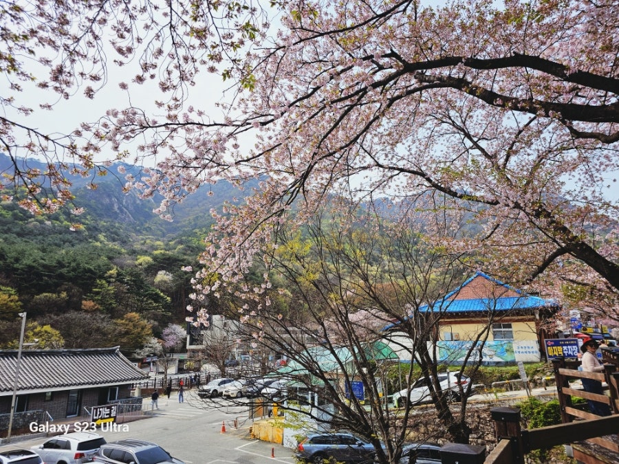 콧바람여행사 이미지
