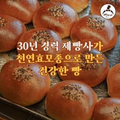 카페하비 이미지