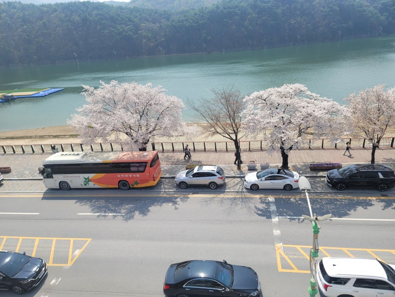 썸데이카페 이미지