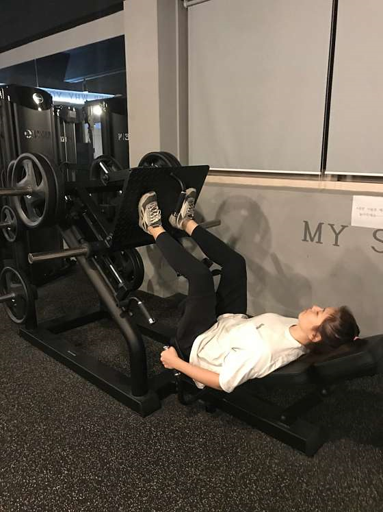 하이바디짐 이미지
